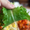 세종낙지 초담골(낙지요리전문점) 이미지