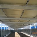 진흥태양광발전소 이미지