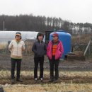 복흥농장 이미지