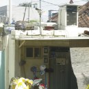 푸른체육사 이미지