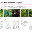 셀메딕스 이미지