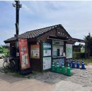 문인화(강좌번호:13) | 경주여행 필수 비단벌레차 예약방법 및 근처 주차장 추천