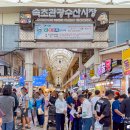 속초관광수산시장(구 속초중앙전통시장) | 속초 중앙시장 먹거리 오징어순대 닭강정 공영주차장 속초관광수산시장