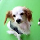 둥지 몸짓의 보금자리 이미지