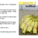 다이어트윤