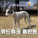 워크위드 | 강아지 올인원 위드워크 자외선차단 중형견 여름 쿨링 옷 추천