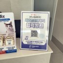보담동물병원 - 포항시 북구 중흥로 218 | 오천 동물병원 만족스러운 중성화 수술 후기