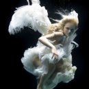 제나키친 이미지