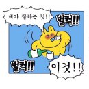 오징어바다회 네이버블로그
