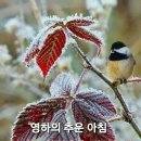 '나'를 내려놓는 길…한걸음씩 비우고, 버리다 이미지