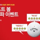크롬미 이미지