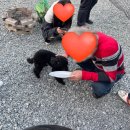 레이지507B | [홍천펜션] 레이지507B 내돈내산 찐후기