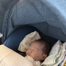 늘푸른소아과의원 이미지