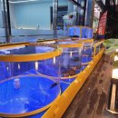 116-운정2-116 | 파주 운정 와동동맛집! 가성비 좋은 만리포세트 내돈내산 후기! &lt;만리포어시장&gt;
