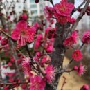 경일중학교 이미지