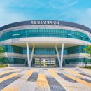 하단동1233 이미지