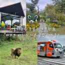 산들어린이집 | 서울대공원 동물원 오픈런 &amp; 리프트 패키지 &amp; 카페융가비 이용 꿀팁 대방출!