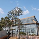 식물원사거리 이미지