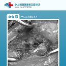 성심동물의료센터 이미지