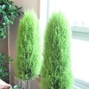 느티나무치과의원 이미지