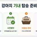 농림축산검역본부 부설 동물병원 | 강아지와 해외여행, 비행기 기내에 같이 탈 수 있을까?｜반려동물 탑승 조건과 준비사항