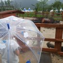 남양주 유기농박물관 이미지