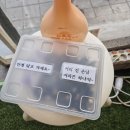 서울대입구 샤로수길 삼겹살 맛집 "서울도새지" 솔직 후기