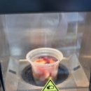 GS25송파센타점 | 일본 인기 gs편의점 생과일 리얼스무디 석촌 위치 맛후기