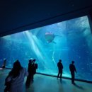 오션 아레나 이미지