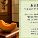 블루베리컴퍼니