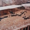 수양농장가든 이미지