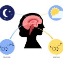 피트니스 오름 이미지