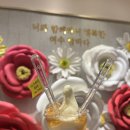 전일카 | 여수밤바다 야경 여수해상케이블카 가격할인 주차정보