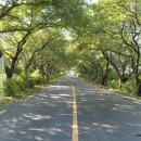 한양장여관 이미지