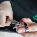 민화 공예 기초반 이미지