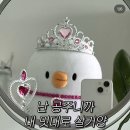 일상로그 이미지