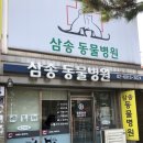 삼송동물의료센터 이미지