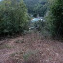 금석목장 이미지