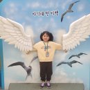 🦜하랑반의 경주 버드파크 1🦜 이미지