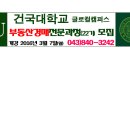 부동산 경매실전과정 Daum카페