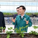 고령군 농업기술센터 이미지