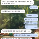 2019-주125 | 대전필라테스 선화동필라테스 라니스튜디오 수업 후기 모음집 2019년~2020년 ✍🏼