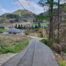 삼가리 160 이미지