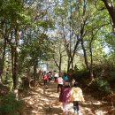 도당초등학교 이미지