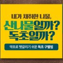원조동아식품