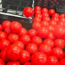 행운뽑기방 이미지