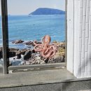 태화강낙지볶음 네이버블로그