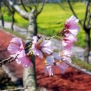 가례자전거도로 이미지