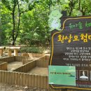 명일공원 유아숲체험원 이미지