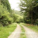 고려촌문화체험길 이미지